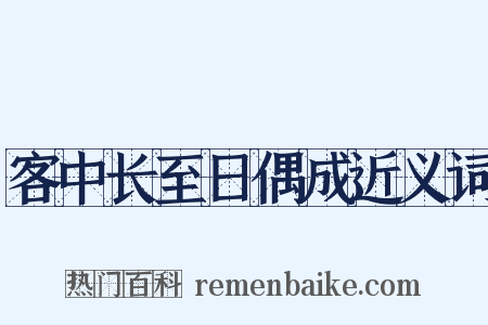客中长至日偶成近义词是什么意思的图片